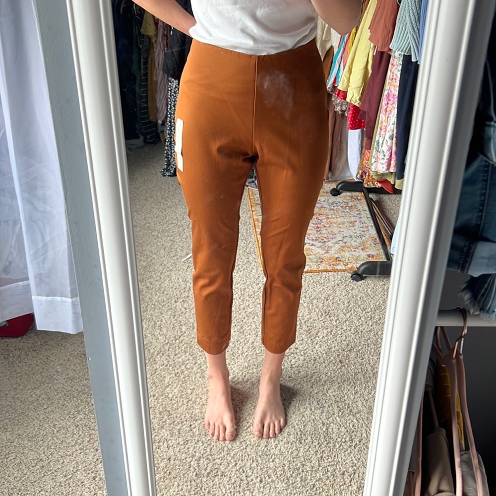 Skinny ankle dress pants